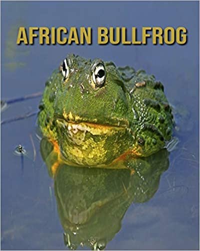African Bullfrog: Learn About African Bullfrog and Enjoy Colorful Pictures