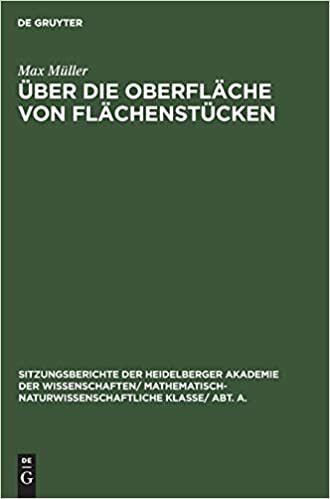 Über die Oberfläche von Flächenstücken (Sitzungsberichte Der Heidelberger Akademie Der Wissenschafte)