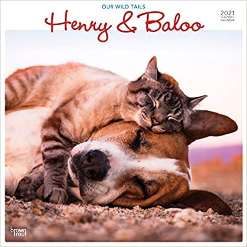 Henry & Baloo - Our Wild Tails 2021 Calendar