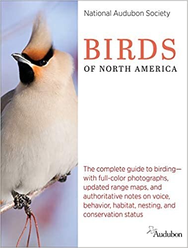 National Audubon Society Birds of North America (National Audubon Society Guide)