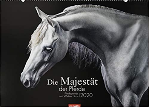 Die Majestät der Pferde Kalender 2020
