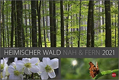 Wald nah und fern Edition - Kalender 2021: Multipicture indir