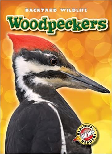 Woodpeckers (Blastoff! Readers: Backyard Wildlife: Level 1 (Library))