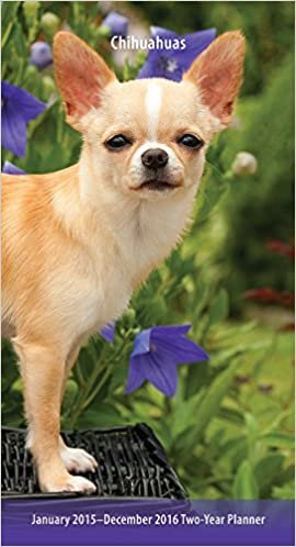 Chihuahuas 2015-2016 Pocket Planner