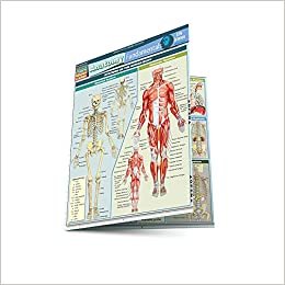 Anatomy Fundamentals: Life Science (Quickstudy: Academic)