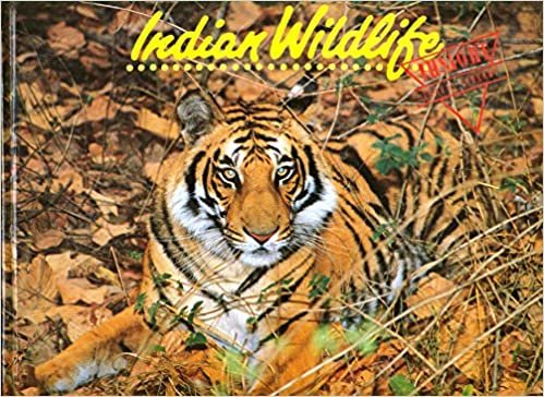 Indian Wild Life (Destination Guides)