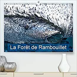 La forêt de Rambouillet (Premium, hochwertiger DIN A2 Wandkalender 2021, Kunstdruck in Hochglanz): La forêt francilienne de Rambouillet (Calendrier mensuel, 14 Pages ) (CALVENDO Nature)