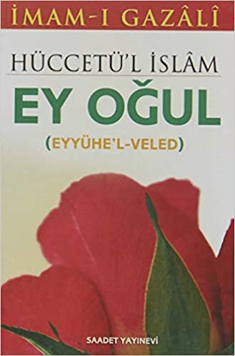 Hüccetü'l Islam Ey Ogul (Cep Boy)