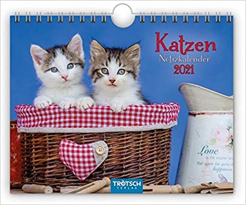 Notizkalender Katzen 2021 Wandkalender Postkartenformat