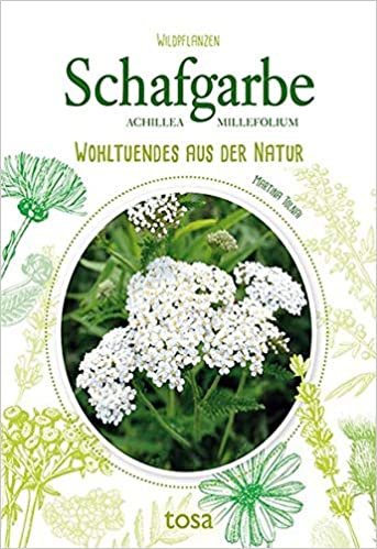 Schafgarbe: Wohltuendes aus der Natur