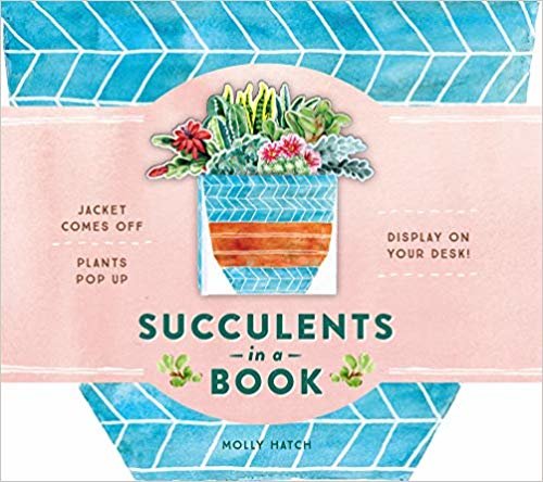 Succulents in a Book (A Bouquet in a Book)