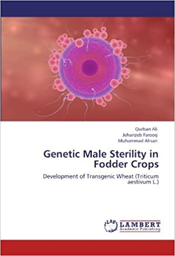 Genetic Male Sterility in Fodder Crops: Development of Transgenic Wheat (Triticum aestivum L.)