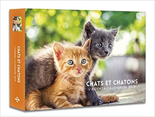 L'agenda-calendrier Chats & Chatons 2019 indir