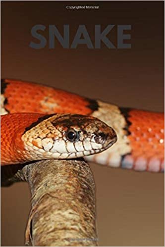 Snake: Notebook with Animals for Kids, Notebook for Coloring Drawing and Writing (Realistic Colors, 110 Pages, Unlined, 6 x 9)(Animal Glossy Notebook)