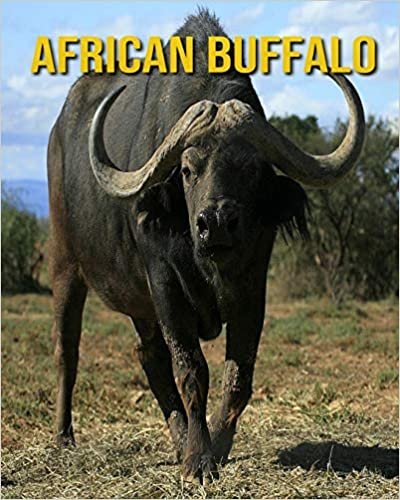 African buffalo: Fun Facts and Amazing Photos of Animals in Nature indir