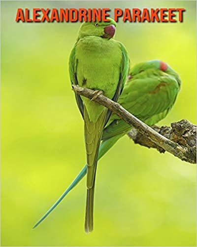 Alexandrine Parakeet: Amazing Photos & Fun Facts Book About Alexandrine Parakeet For Kids