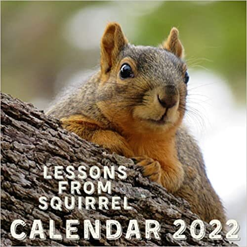 Lessons From Squirrel Calendar 2022: September 2021 - December 2022 Monthly Planner Mini Calendar With Inspirational Quotes