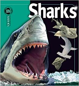 Sharks (Insiders (Simon and Schuster))