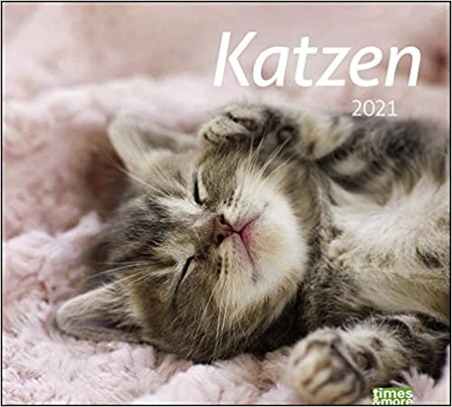 times&more Katzen Bildkalender Kalender 2021 indir