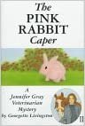 The Pink Rabbit Caper: Book II (A Jennifer Gray Veterinarian Mystery, Band 11)