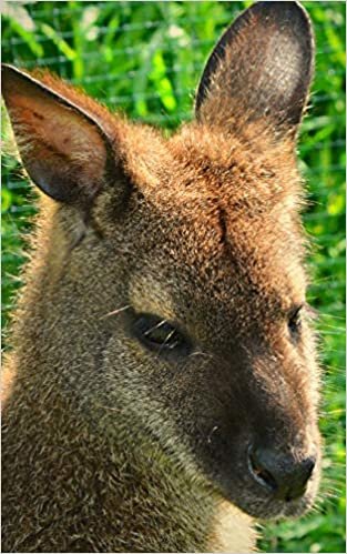 Notebook: Wallaby Kangaroo Marsupial Australian Wildlife 5" x 8" 150 Ruled Pages