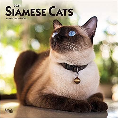 Siamese Cats - Siam-Katzen 2021 - 18-Monatskalender: Original BrownTrout-Kalender [Mehrsprachig] [Kalender] indir