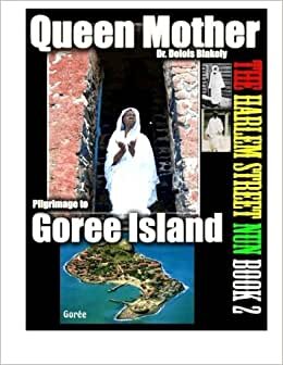 Pilgrimage to Goree Island (The Harlem Street Nun, Band 2): Volume 2