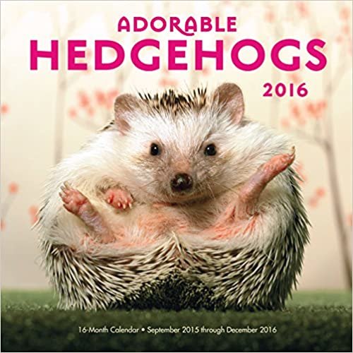 Adorable Hedgehogs 2016: 16-Month Calendar September 2015 through December 2016 indir