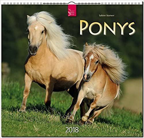 PONYS: Original Stürtz-Kalender 2018 - Mittelformat-Kalender 33 x 31 cm