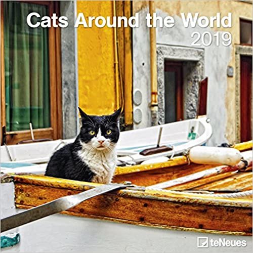 2019 Cats Around the World Calendar - 30 x 30 cm