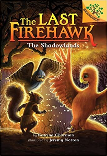 The Shadowlands: A Branches Book (the Last Firehawk #5), Volume 5