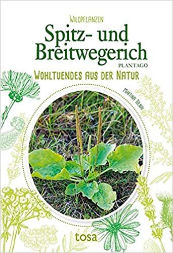 Spitz- und Breitwegerich: Wohltuendes aus der Natur indir