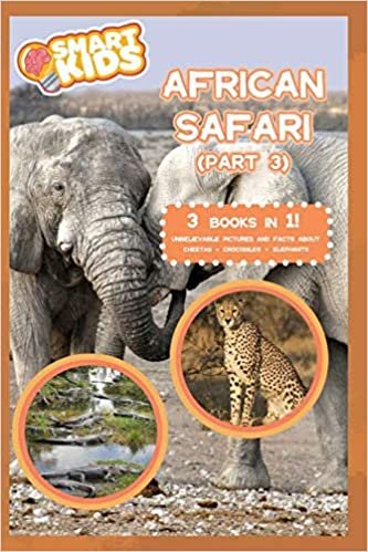 African Safari 3 indir