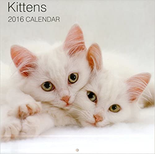 Kittens 2016 Calendar (Calendars 2016)