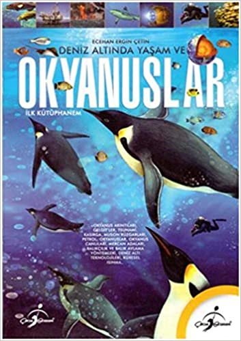 Okyanuslar