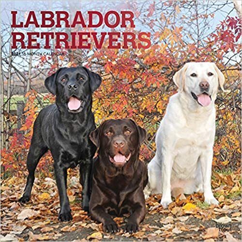 Labrador Retrievers 2021 - 18-Monatskalender: Original BrownTrout-Kalender, mit freier DogDays-App indir