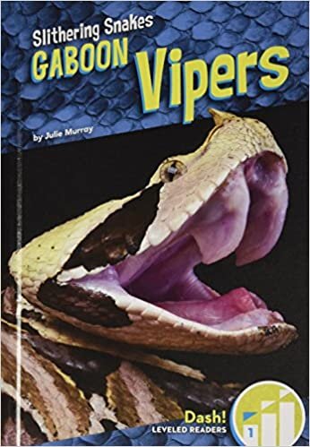 Gaboon Vipers (Slithering Snakes)
