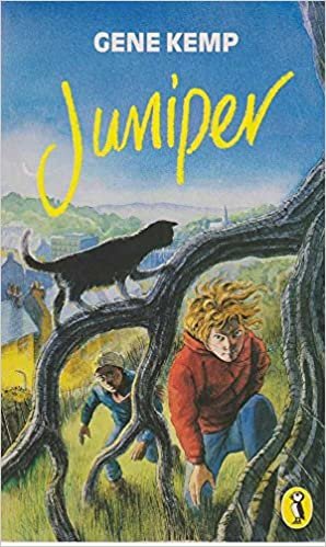 Juniper: A Mystery (Puffin Books) indir