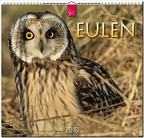 EULEN: Original Stürtz-Kalender 2018 - Mittelformat-Kalender 33 x 31 cm