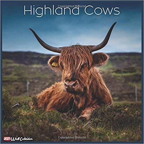 Highland Cows 2021 Wall Calendar: Official Highland Cows Calendar 2021, 18 Months