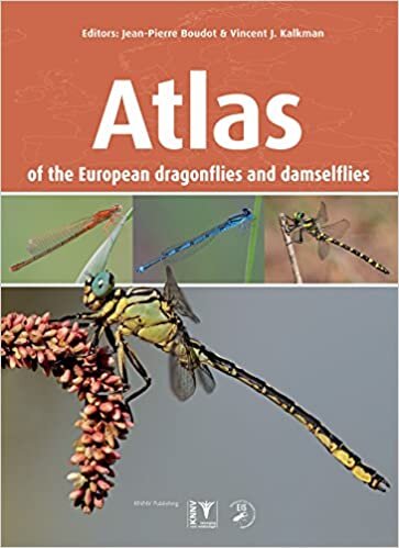 Avrupa Dragonflies ve damselflies Atlası