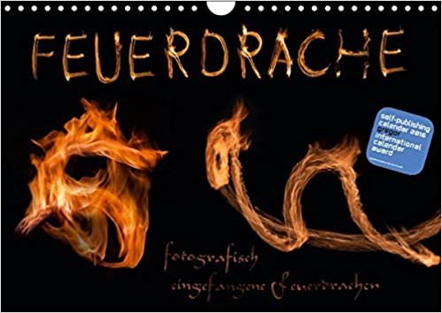 Feuerdrache (Wandkalender 2017 DIN A4 quer): Fotografisch eingefangene Feuerdrachen (Monatskalender, 14 Seiten ) (CALVENDO Kunst)