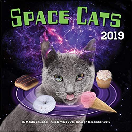 Space Cats 2019: 16-Month Calendar - September 2018 through December 2019 (Calendars 2019) indir