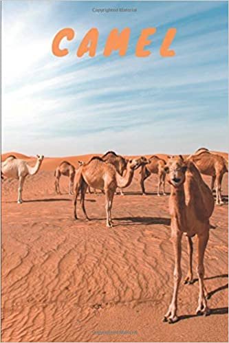 Camel: Notebook for Drawing and Writing, Journal, Diary (110 Page, Blank, 6 x 9 inch, 15.24 x 22.86 cm) (Animals, Band 1)