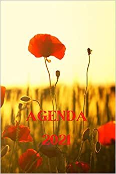 AGENDA ANNUEL 2021: Agenda 2021 | Agenda semainier | Calendrier | Répertoire (Français) Broché