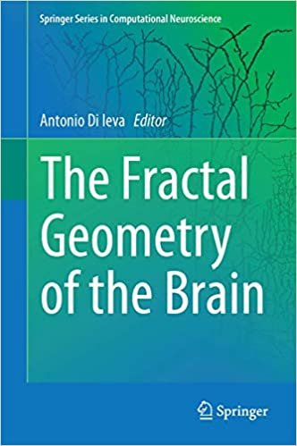 The Fractal Geometry of the Brain (Springer Series in Computational Neuroscience)