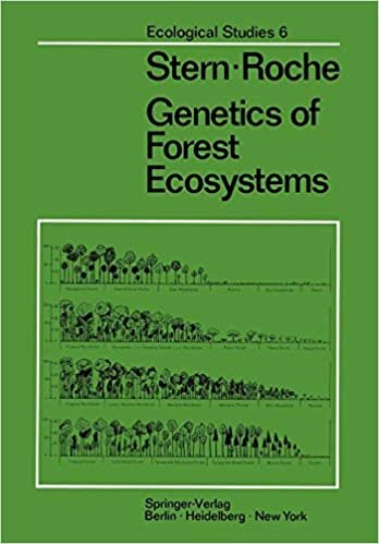 Genetics of Forest Ecosystems (Ecological Studies (6), Band 6)