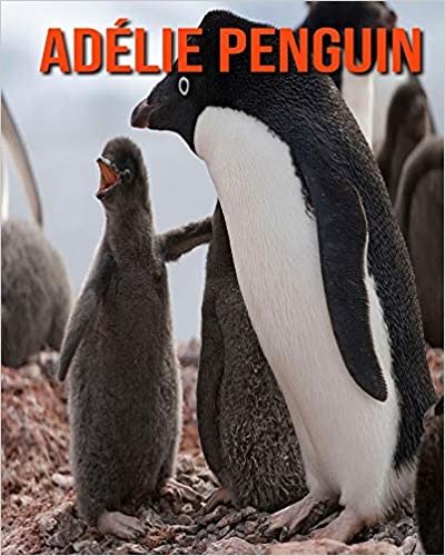 Adélie Penguin: Amazing Pictures & Fun Facts on Animals in Nature indir