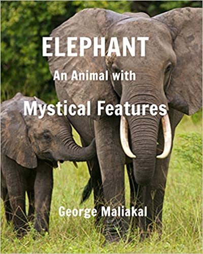Elephant - An Animal with Mystical Features indir