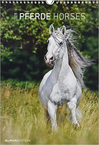 Pferde 2019 - Horses - Bildkalender (24 x 34) - Tierkalender indir